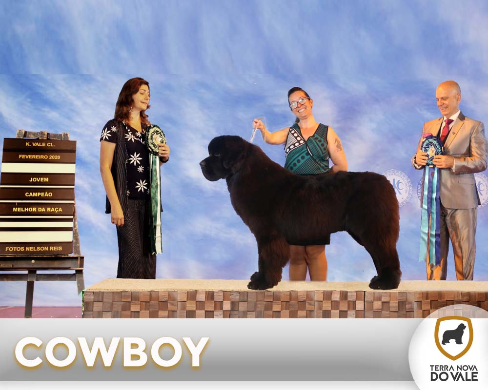 Cowboy_Capa_campeoes