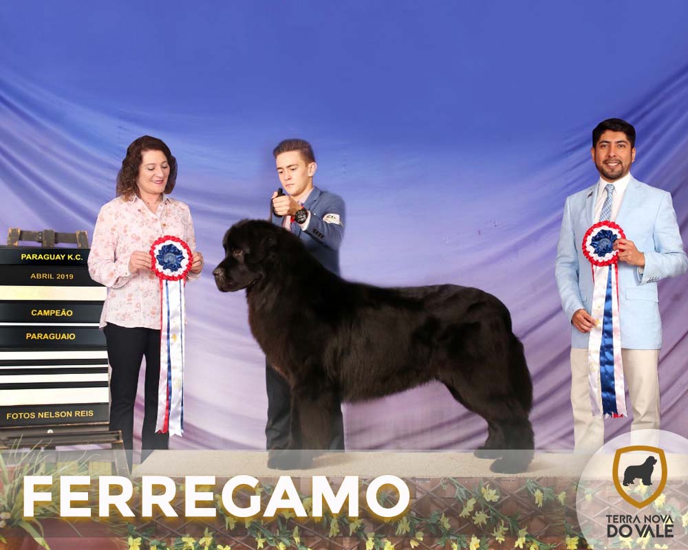Ferragamo_Capa_campeoes