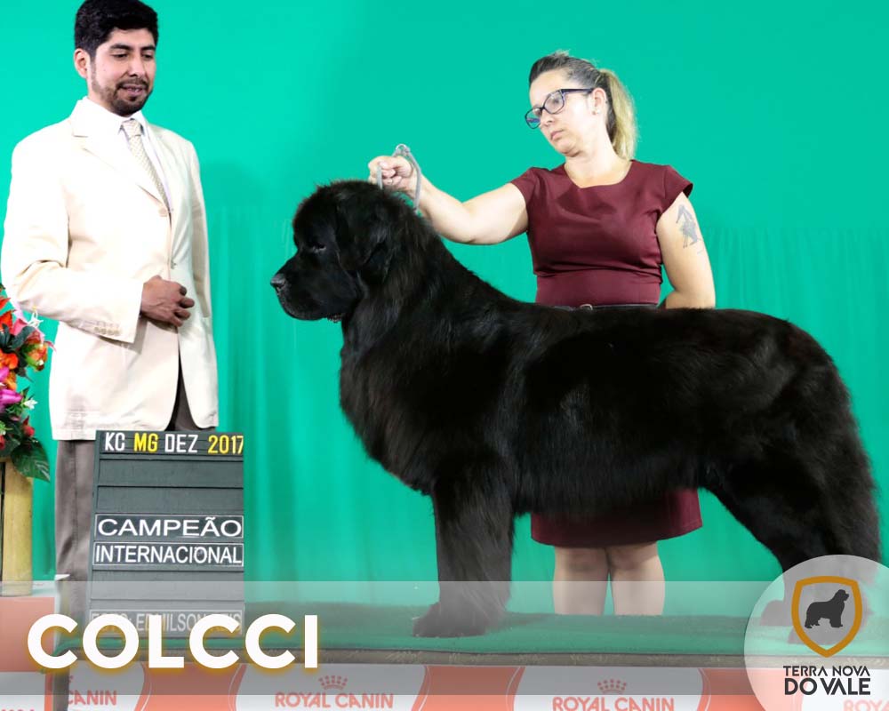 Colcci_Capa_campeoes